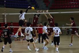 哈登肩伤缺席战勇士！无缘第62次与库里交手 泰伦卢称他此前负担过重